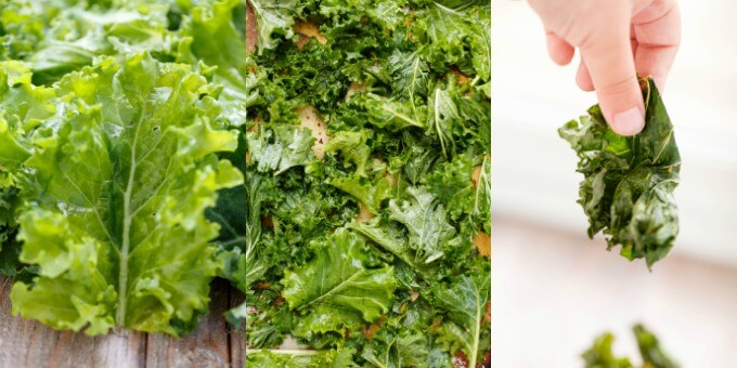 Coconut Oil Kale Chips in process of making, hand holding kale chip #healthy