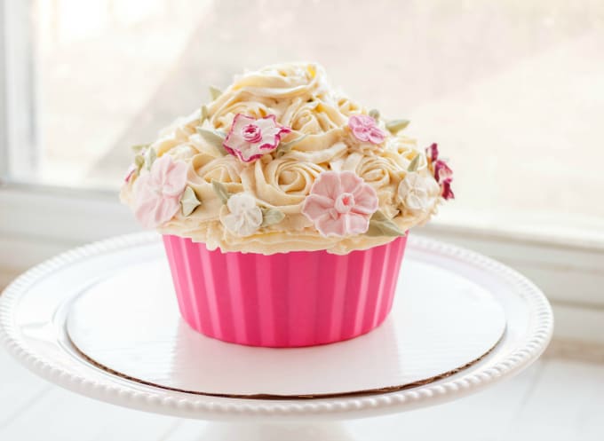 Giant Chocolate Cupcake on white stray, white background