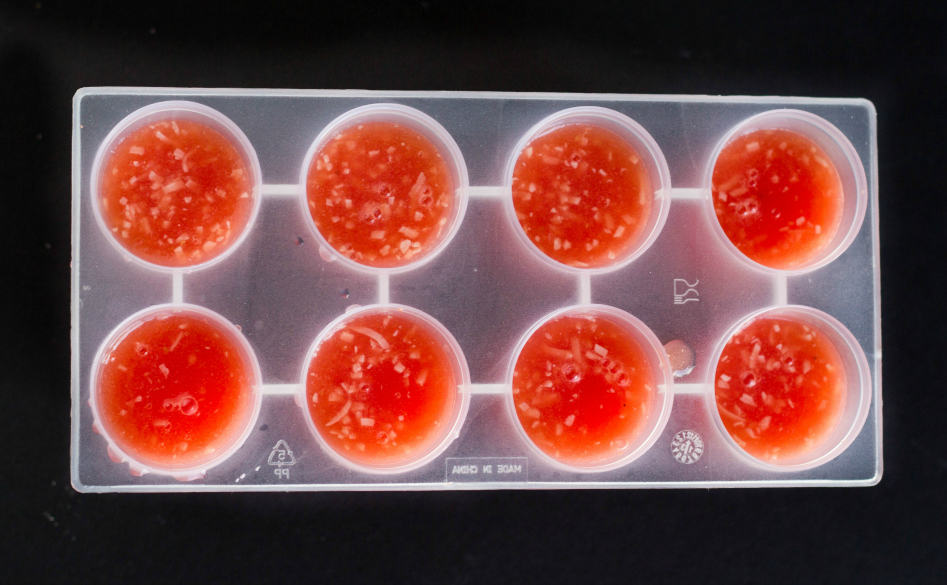 Popsicles form with watermelon and coconut filler on black background