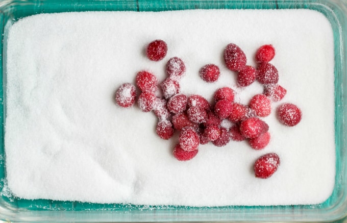 Candied Cranberries poured by sugar on table