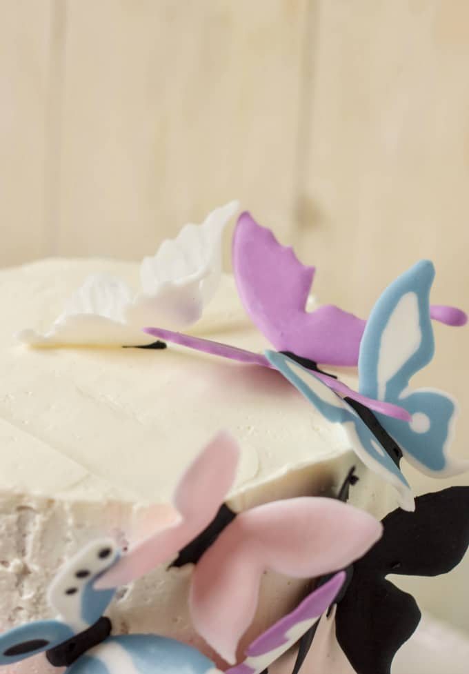 Pink Ombre Cake with Royal Icing Butterflies on white background