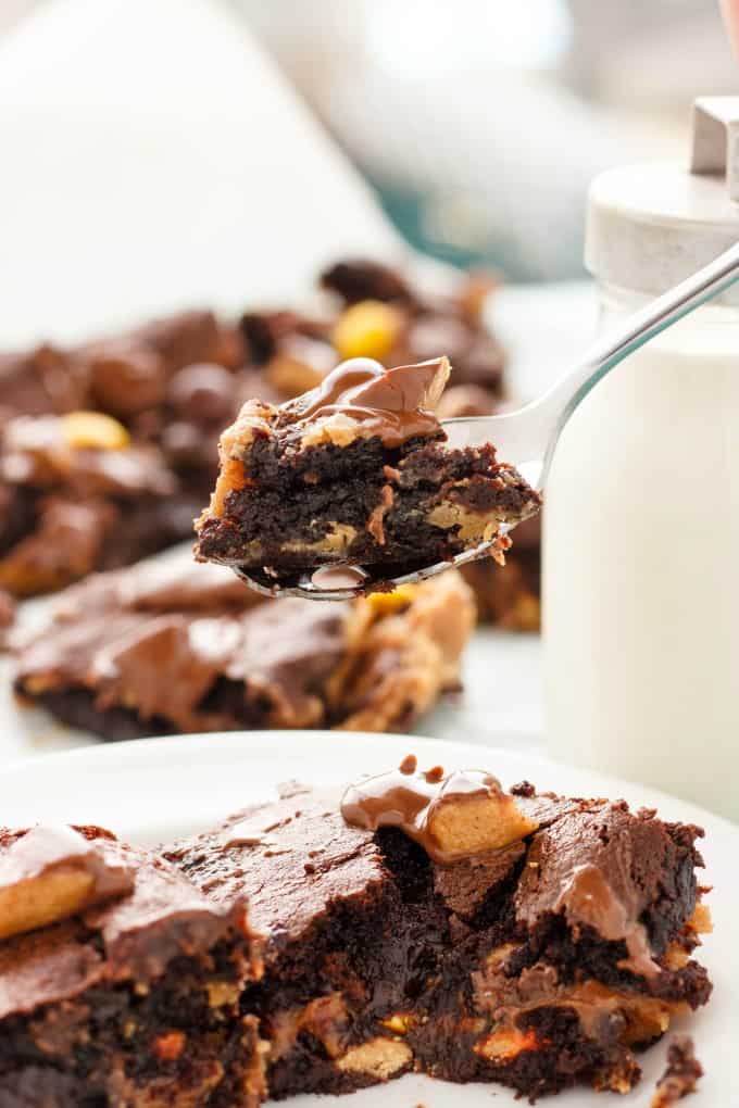 Reese's Peanut Butter Brownies on white plate picked by spoon#bite