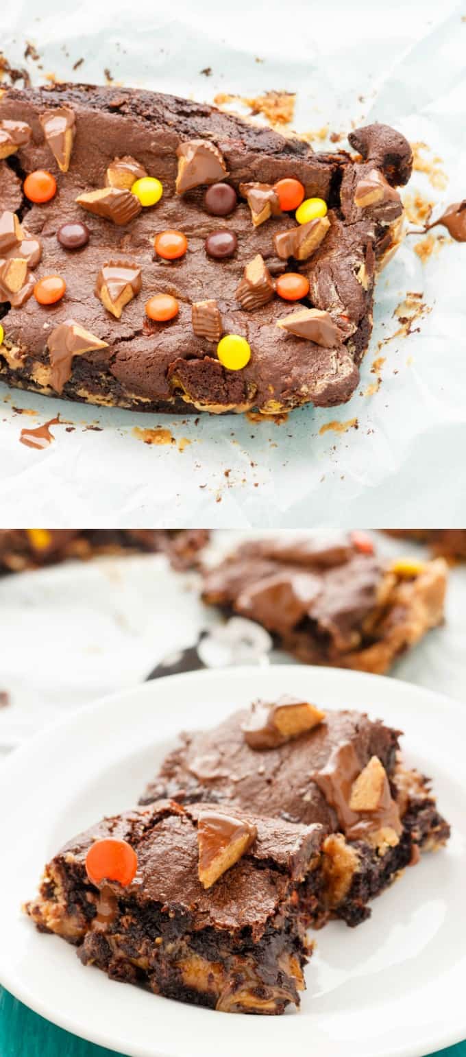 Reese's Peanut Butter Brownies on white plate#chocolate