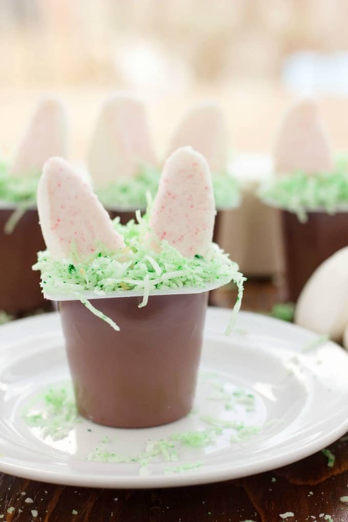 Marshmallow Bunny Ear Pudding Cup on white plare, rest of cups in the background#nobake