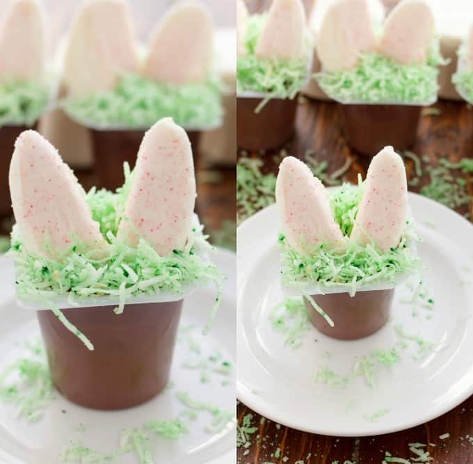 Marshmallow Bunny Ear Pudding Cups on white plates, rest of cups in the background