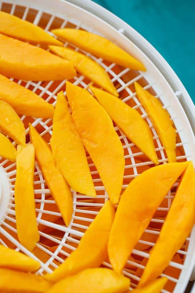 Dried Mango Slices in the Dehydrator 