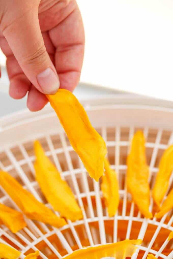 Dried Mango Slices in the Dehydrator , one slice held by hand