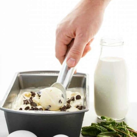 Homemade Fresh Mint Chocolate Chip Ice Cream