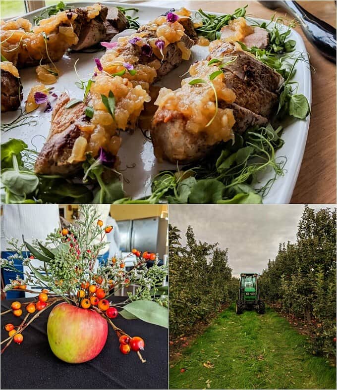 Apple-Pork Shepherd's Pie on white tray with herbs. Apple being decorated on black table. Green tractor in apple orchad