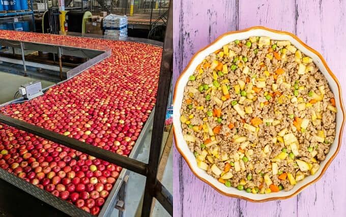 Apple-Pork Shepherd's Pie in baking pot on purple table. Apples on conveyor belt in factory.