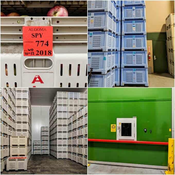 Apples in palstic boyes. Boxes in stack in warehouse. Green wall with small window.