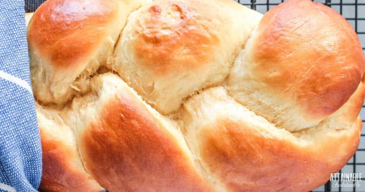 Tasty Portuguese Sweet Bread on a resting grid.