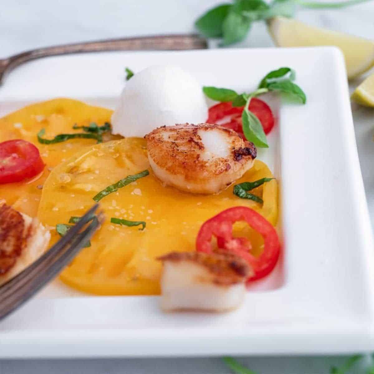 Healthy Caprese Salad with Scallops on a white plate.