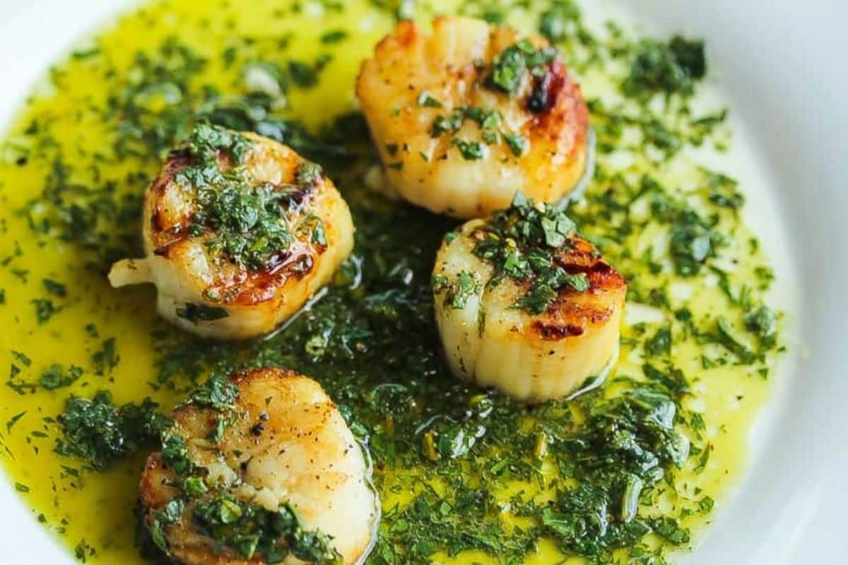 Juicy Grilled Scallops with Lemon Salsa Verde in a white bowl.