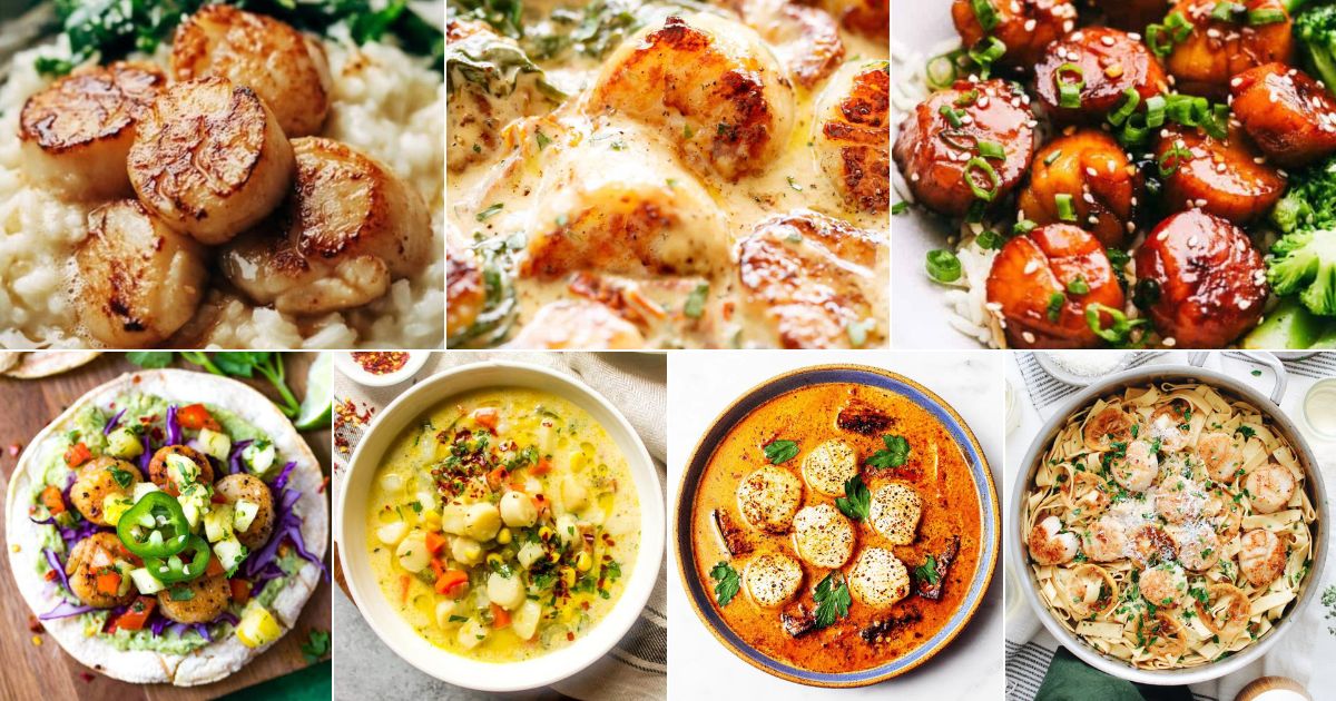 31 Scallops Recipes for an Unforgettable Main Course facebook image.