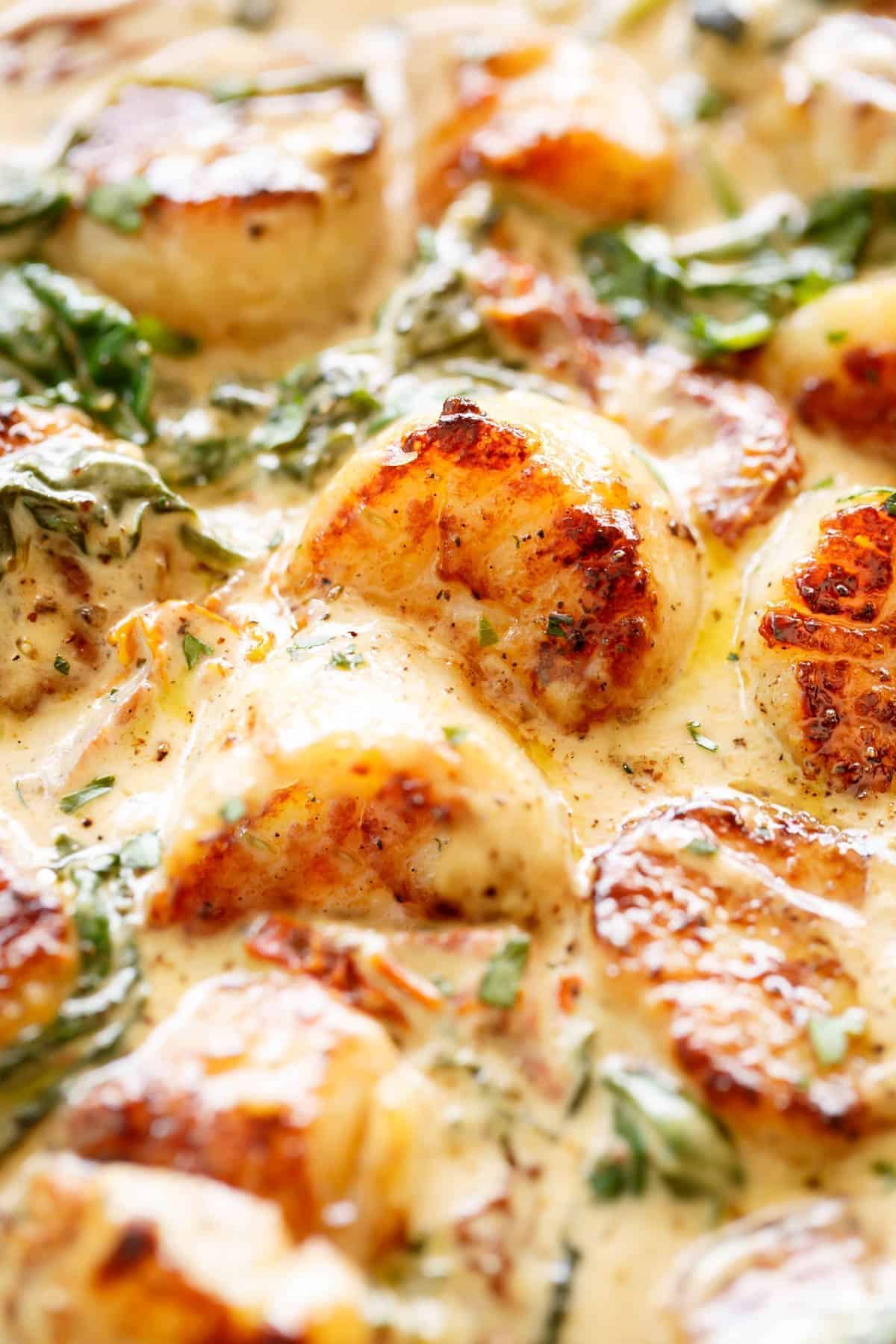 A close-up of Creamy Tuscan Scallops.